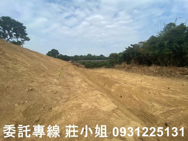 大內農地-5