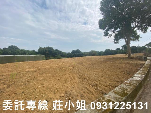 大內農地-8