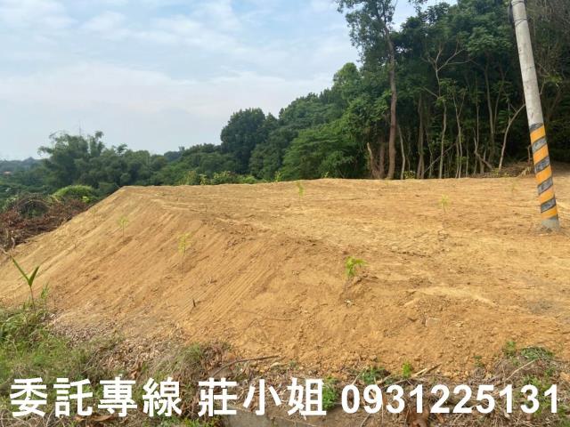 大內農地-9