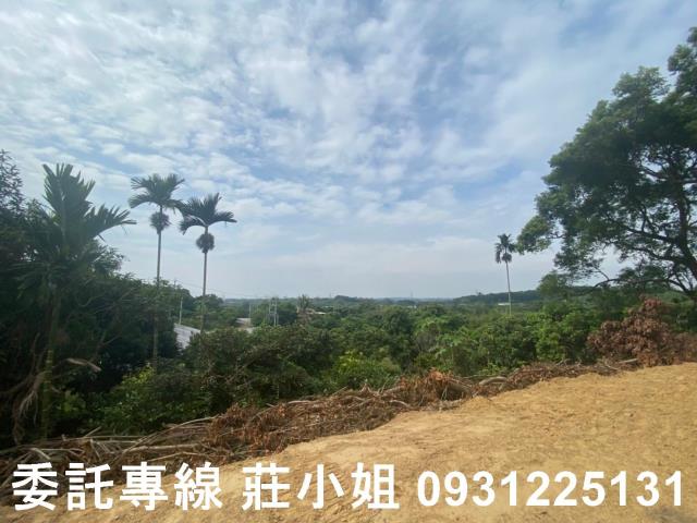 大內農地-2