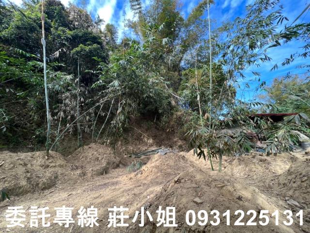 左鎮農地-1