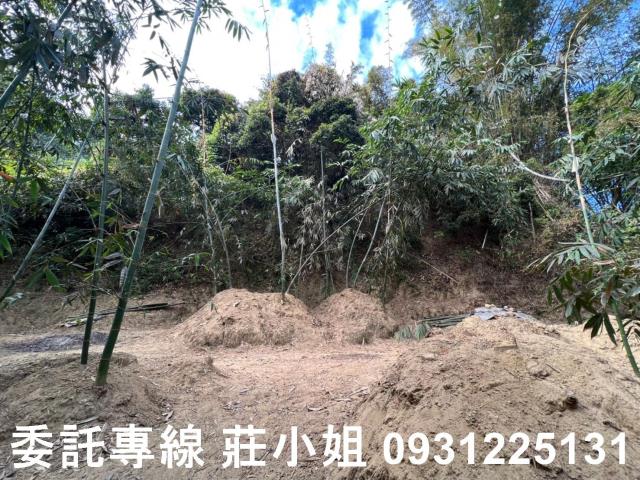 左鎮農地-2