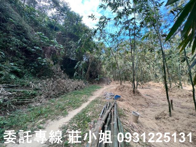 左鎮農地-3