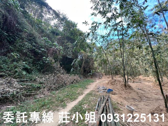 左鎮農地-4