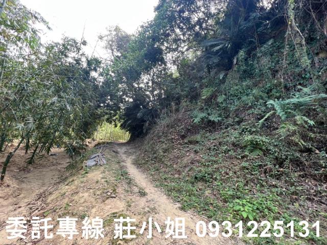左鎮農地-5