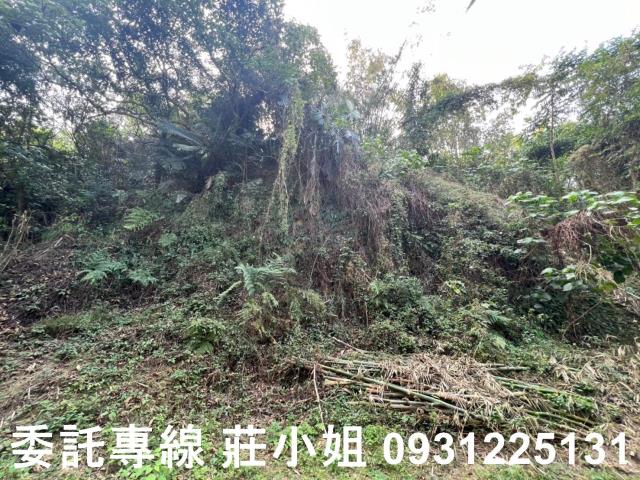 左鎮農地-6