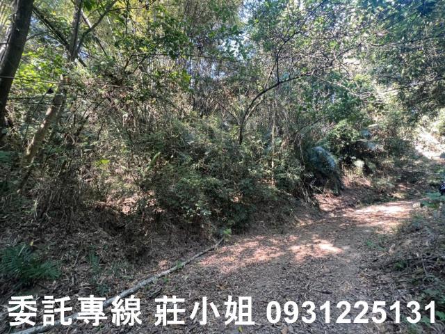 左鎮農地-0