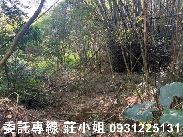 左鎮農地-2
