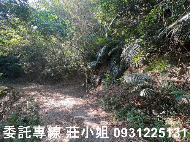 左鎮農地-3