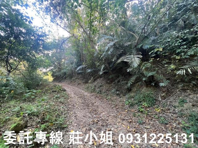 左鎮農地-4