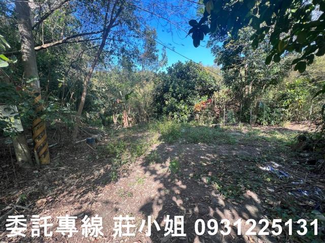 左鎮農地-5