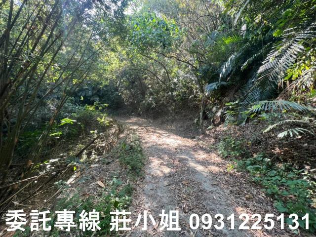 左鎮農地-6