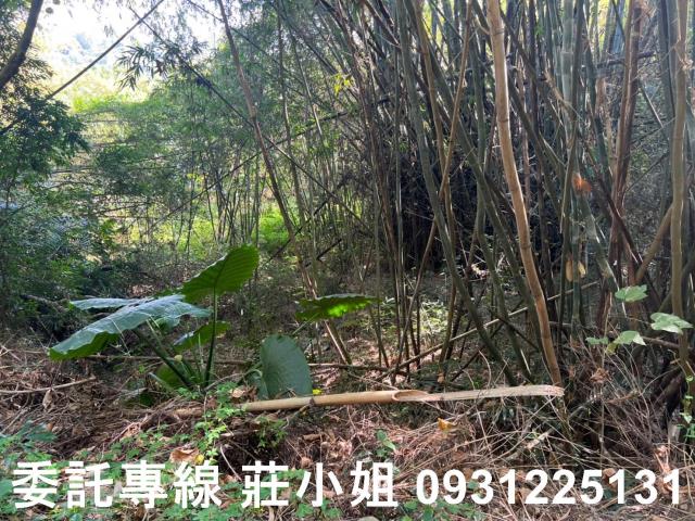 左鎮農地-7
