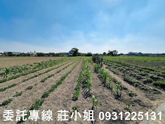 台南西港農地-0