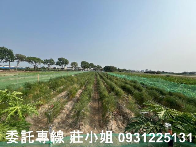 台南農地-11