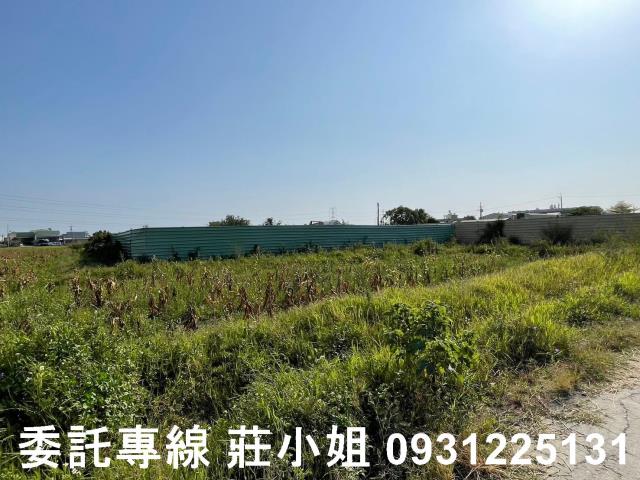 歸仁農地-2