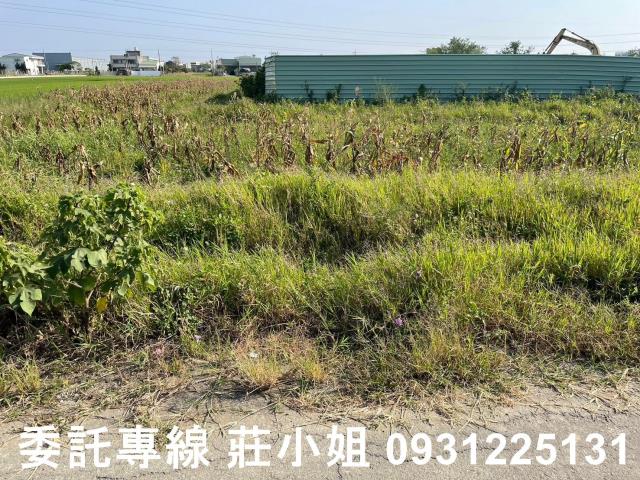 歸仁農地-3