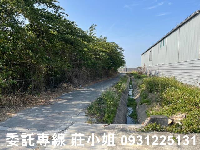 歸仁農地-4