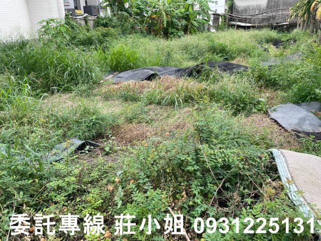 台南建地-6