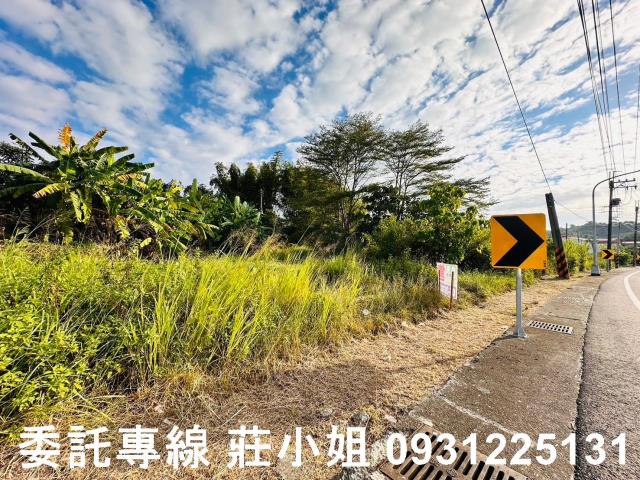 玉井農地-7
