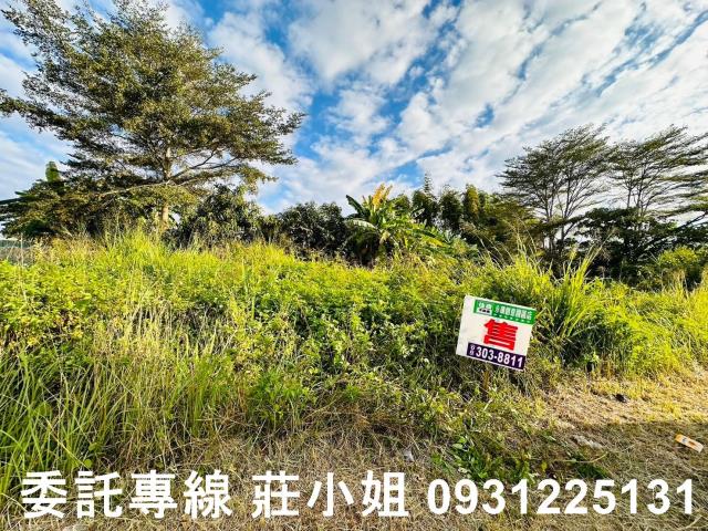 玉井農地-8