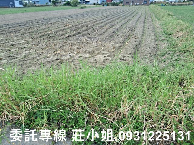 台南永康農地-0