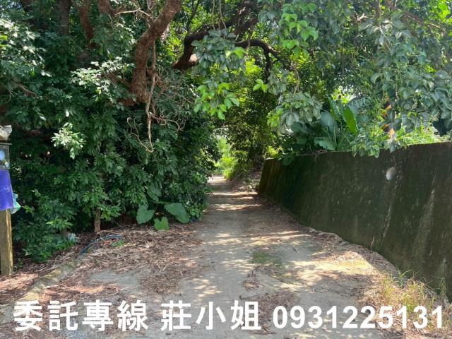 台南農地-10