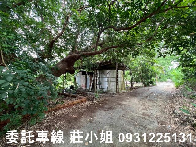 台南農地-5