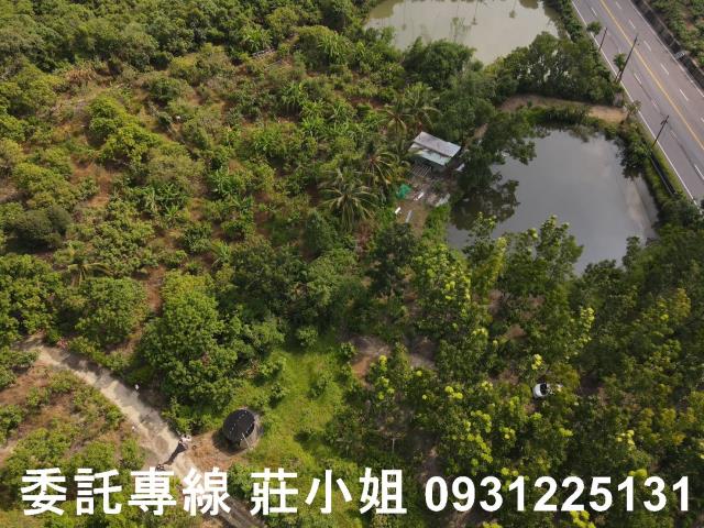 南化農地-11
