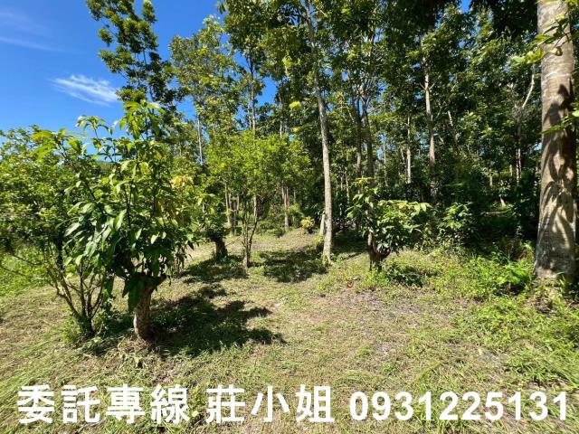 南化農地-1