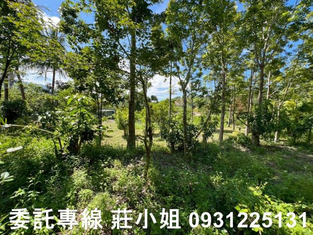 南化農地-4