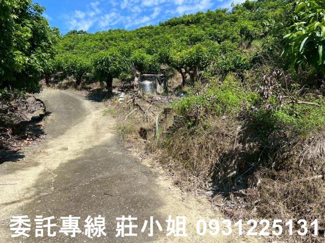 南化農地-8