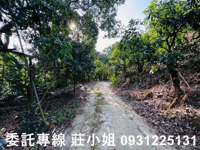 台南左鎮農地-1