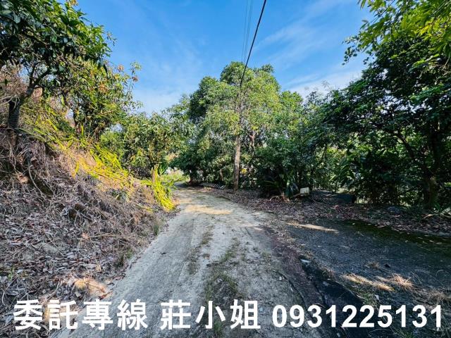 台南左鎮農地-6