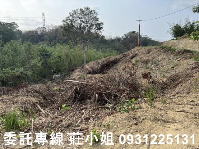 台南新化農地-9