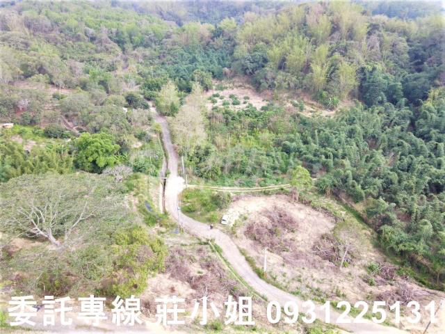 台南新化農地-2