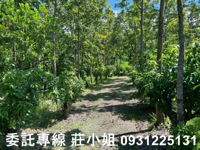 台南南化農地-10