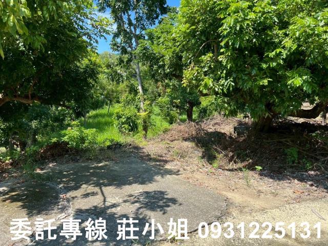 台南南化農地-5