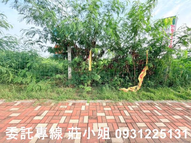 台南麻豆工業地-9