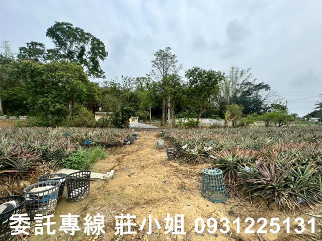 關廟農地-5