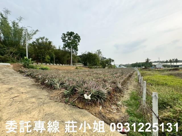關廟農地-6